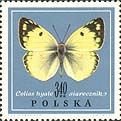 (1967-063) Марка Польша "Желтушка луговая"   Бабочки III Θ