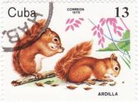(1979-083) Марка Куба "Красная белка"    Животные зоопарка III Θ