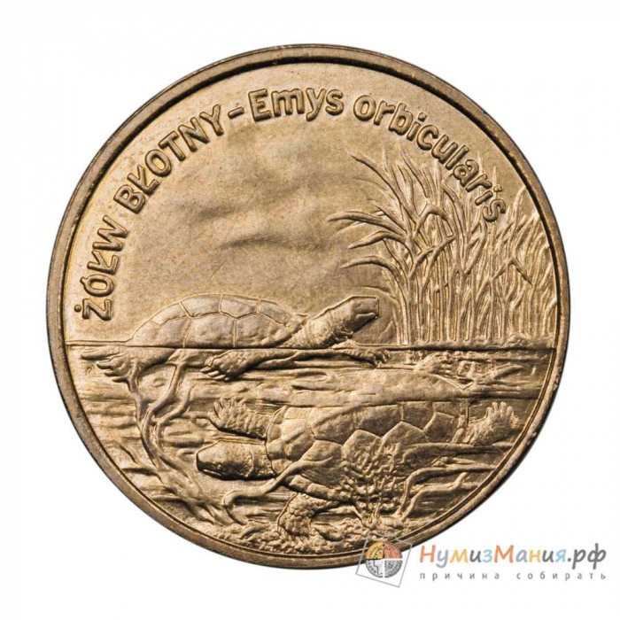 (048) Монета Польша 2002 год 2 злотых &quot;Европейская болотная черепаха&quot;  Латунь  UNC