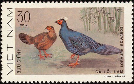 (1979-041a) Марка Вьетнам &quot;Лофура Эдвардса&quot;  Без перфорации  Птицы III O