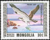 (1976-024) Марка Монголия "Скопа"    Охраняемые виды хищных птиц III Θ