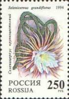(1994-009) Марка Россия "Селеницериус"   Комнатные растения. Кактусы III Θ