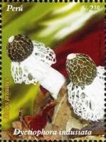 (№2007-2247) Марка Перу 2007 год "Dyctiophora indusiata", Гашеная