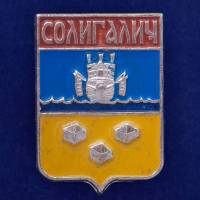 27508\121644 Значок Солигалич