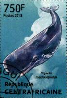 (№2013-4132) Марка Центрально-Африканская Республика 2013 год "Physeter macrocephalus", Гашеная