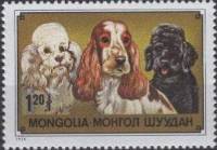 (1978-054) Марка Монголия "Кокер спаниель"    Служебные и декоративные породы собак III Θ