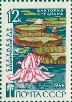 1966-071 Марка СССР Виктория круциана   Сухумский ботанический сад III O