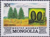 (1982-039) Марка Монголия "Сибирская пихта"    Флора Монголии III Θ