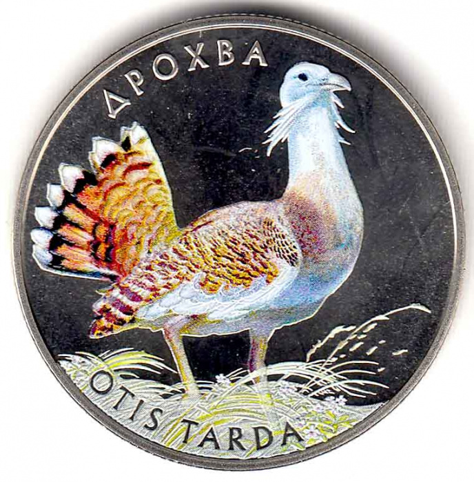 Монета Украина 2 гривны №151 2013  год &quot;Дрофа&quot; (Цветная), AU