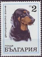 (1970-051) Марка Болгария "Гончая"   Собаки III Θ