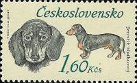1973-043 Марка Чехословакия Такса   50 лет Чехословатскому охотничьему делу III O