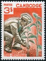 (№1966-204) Марка Камбоджа 1966 год "День дерева", Гашеная