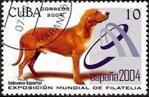 (№4604) Марка Куба 2004 год &quot;Sabueso Эспаньол canis волчанка familiaris&quot;, Негашеная