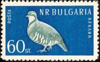 (1959-026) Марка Болгария "Куропатка каменная (Кеклик)"   Птицы II Θ