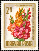 (1965-030) Марка Венгрия "Гладиолус"    20-я годовщина освобождения. Букеты цветов III Θ