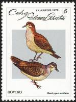 (1979-008) Марка Куба "Красный перепелиный голубь"    Голуби III Θ