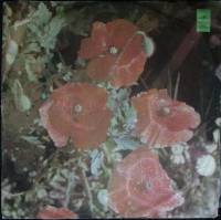 Пластинка виниловая Анна Герман Невеста Мелодия 300 мм. (Сост. на фото)