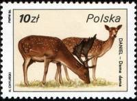 (1986-010) Марка Польша "Лань"    Охотничья дикая природа III Θ