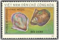 (1974-036) Марка Вьетнам "Жемчужная раковина"   Морские существа III Θ