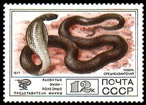 1977-103 Марка СССР Кобра среднеазиатская  Фауна III O