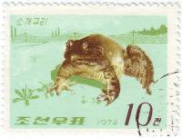 (1974-051) Марка Северная Корея "Лягушка-бык"   Земноводные III Θ
