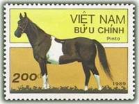 (1989-111) Марка Вьетнам "Пинто"    Лошади III Θ