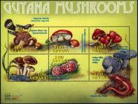 (№2000-6927) Лист марок Гайана 2000 год "Грибы", Гашеный