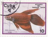 (1977-017) Марка Куба "Бойцовая рыбка"    Аквариум парка Ленина II Θ