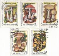 1986-035-39 Серия Набор марок 5 шт СССР 4 5 10 15 20 коп  Ядовитые грибы III Θ