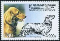 (№2000-2111) Марка Камбоджа 2000 год "Длинношерстная такса canis волчанка familiaris", Гашеная