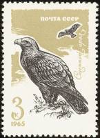 (1965-135) Марка СССР "Степной орел"    Хищные птицы II O