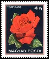(1982-022) Марка Венгрия "Тропикана"    Розы II Θ