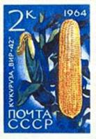 (1964-081) Марка СССР "Кукуруза ВИР-42" Без перф    Сельскохозяйственные культуры II O
