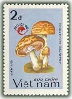 (1990-109) Марка Вьетнам "Шампиньон лесной"    Туризм III Θ