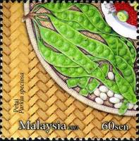 (№2013-2062) Марка Малайзия 2013 год "Малазийский Салат", Гашеная