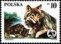 (1985-017) Марка Польша "Волк со щенками"    Всемирный фонд природы III Θ