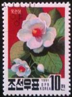 (1991-091) Марка Северная Корея "Магнолия сиболдии"   Национальный цветок III Θ