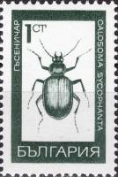 (1968-050) Марка Болгария "Красотел пахучий"   Стандартный выпуск. Насекомые III Θ
