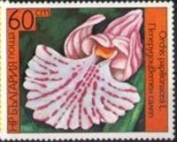 (1986-009) Марка Болгария "Анакамптис мотыльковый "   Орхидеи II Θ