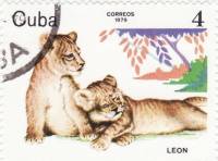 (1979-081) Марка Куба "Лев"    Животные зоопарка III O