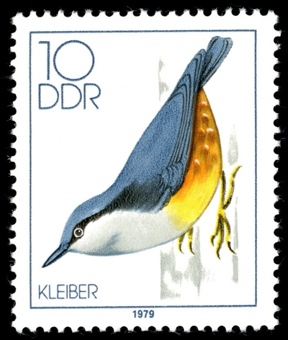 (1979-002) Марка Германия (ГДР) &quot;Обыкновенный поползень&quot;    Певчие птицы III Θ