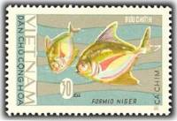 (1967-024) Марка Вьетнам "Черный помфрет"   Рыбы III Θ