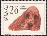 (1963-005) Марка Польша "Кокер спаниель"   Собаки II Θ