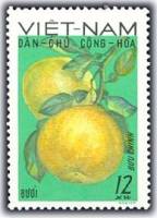 (1969-026) Марка Вьетнам "Грейпфрут"   Фрукты III Θ