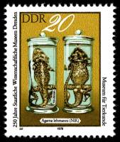 (1978-093) Марка Германия (ГДР) "Туркестанская Агама"    Музей Дрездена, 250 лет II Θ