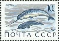 1971-075 Марка СССР Нарвал   Млекопитающие - обитатели морей и океанов II O