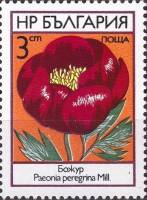 (1973-027) Марка Болгария "Пион"    Полевые цветы III Θ