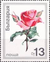 (1970-033) Марка Болгария "Роза с бутонами"   Розы III Θ