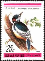 (1988-044a) Лист (4м) Северная Корея "Большой пёстрый дятел"   Птицы III Θ