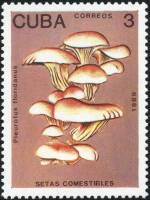 (1989-007) Марка Куба "Вешенки флоридские"    Съедобные грибы III O